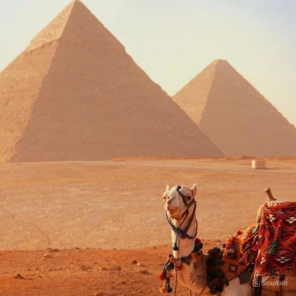 DU LỊCH AI CẬP JORDAN CÓ KHÓ KHÔNG NÊN ĐI THỜI GIAN NÀO GIỚI THIỆU TOUR ĐỘC LẠ LIÊN TUYẾN TRUNG ĐÔNG HUYỀN BÍ JORDAN AI CẬP MỚI NHẤT 2025 HÀNH TRÌNH KHÁM PHÁ NHỮNG VÙNG ĐẤT TRUYỀN THUYẾT 9 NGÀY 8 ĐÊM KHỞI HÀNH TỪ HÀ NỘI TP HỒ CHÍ MINH 