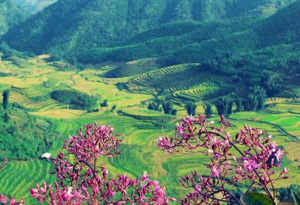 TOUR VĂN HÓA LỊCH SỰ ẤN TƯỢNG LÊN NGÀN NGẮM XỨ SỞ HOA BAN ÂM VANG ĐIỆN BIÊN PHỦ TOUR 3 NGÀY 2 ĐÊM TỪ HÀ NỘI TP HỒ CHÍ MINH HÀ NỘI – ĐIỆN BIÊN THĂM NGỌN ĐỒI A1-C1 HẦM TƯỚNG ĐỜ CÁT 