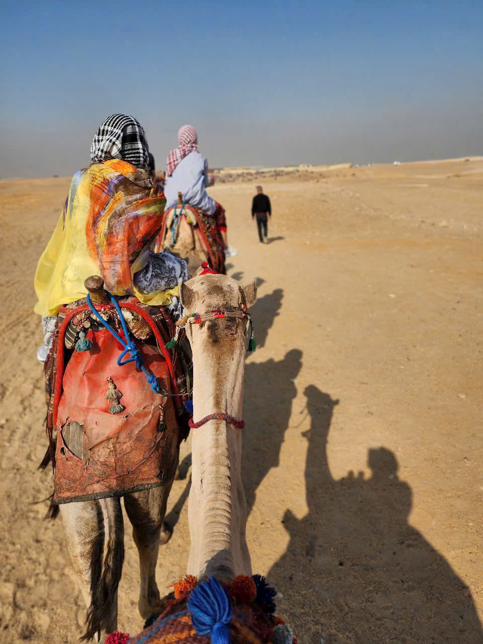 TOUR AI CẬP GIÁ RẺ NHẤT 2026 CHỈ HƠN 40 TRIỆU ĐỒNG  XỨ SỞ KIM TỰ THÁP CAIRO EDFU LUXOR BIỂN ĐỎ 9 NGÀY 8 ĐÊM TỪ HÀ NỘI TP HỒ CHÍ MINH HIỆN THỰC ƯỚC MƠ DU LỊCH AI CẬP TOUR SANG GIÁ RẺ 