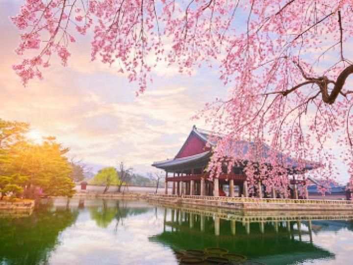 HÀ NỘI –HÀN QUỐC- SEOUL – ĐẢO NAMI – CÔNG VIÊN EVERLAND